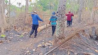 HAS AN ACCURATE TRICK⁉️THIS IS HOW TO LIFT WOOD MANUAL✴️ [upl. by Marlene]