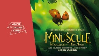 Mathieu Lamboley  Chenilles urticantes  From the movie quotMinuscule Mandibles From Far Awayquot [upl. by Novyert804]