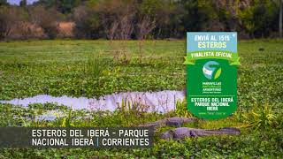 Esteros del Iberá  Maravillas Naturales de Argentina [upl. by Aiepoissac]