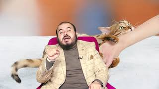 Rüyada kedi ısırması görmek nedir Rüya Tabiri Rüyada kedi ısırması görmek ne anlama gelir [upl. by Anjali53]