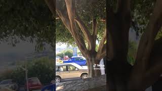 Agios Nikolaos Crete Greece Summer in Europe Vlog August 2023 [upl. by Nylaehs]