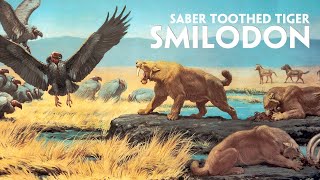 Smilodon  Saber Toothed Tiger the perfect prehistoric predator [upl. by Hendrika78]