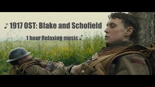 1917 OST  Blake and Schofield  1 hour Relaxing Music with opening scene [upl. by Annaihr]