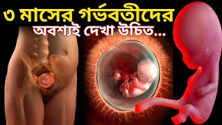 ৩ মাসের গর্ভবতী।3 Months onths of Pregnancy Bangla [upl. by Alasdair655]