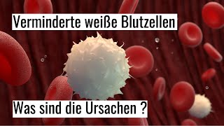 Leukozytopenie  was ist die Ursache verminderter weißer Blutkörperchen [upl. by Aillil]