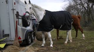 Reitclub Grunewald Turnierteilnahme Olympiapark Ostern 2016 [upl. by Annal]