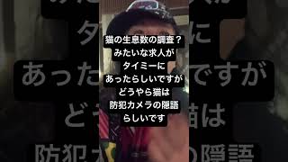 猫の生息数の調査？みたいな求人がタイミーにあったらしいですがどうやら猫は防犯カメラの隠語らしいです [upl. by Egor786]