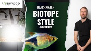 Scaping a Blackwater Biotope Aquarium [upl. by Rodavlas]