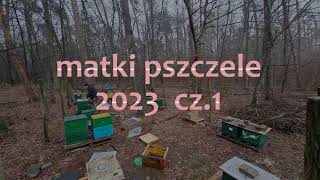 Matki pszczele Buckfast 2023  pawluknetpl cz1 [upl. by Eidnalem]