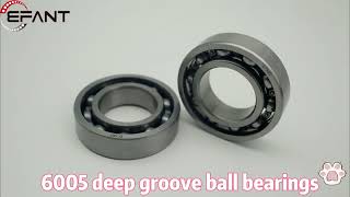 6005 deep groove ball bearingsbearing [upl. by Naejeillib361]