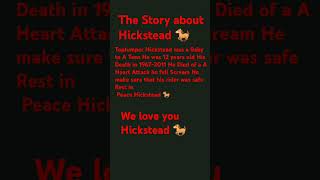 the Story of Hickstead [upl. by Cheatham]