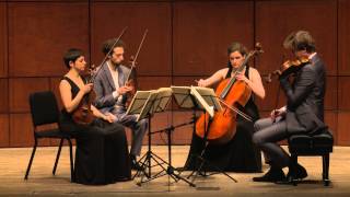 Beethoven String Quartet Op 132 in A Minor  Ariel Quartet full [upl. by Hteb]