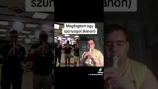 Sárközi Róbert x Való világ 10 fiúk  Megfogtam egy szúnyogot music duet flute musica музыка [upl. by Yevreh]