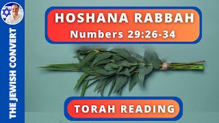 HOSHANA RABBAH TORAH READING in Hebrew with English Translation  TORAH STUDY [upl. by Amarette]