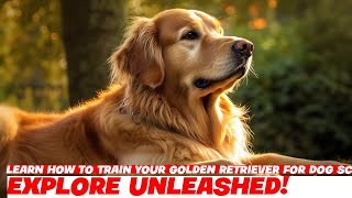 Learn How to Train Your Golden Retriever for Dog Scootering [upl. by Arahk972]