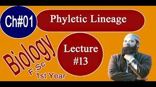 Biology Ch01Lecture13 Phyletic lineage FSc 1st Year [upl. by Toffey]