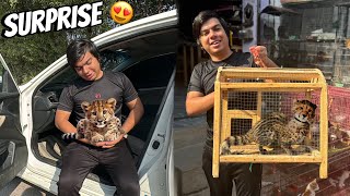 Apna Dream Pet Leopard Ly Aya Me 😍 Surprise 🥳 [upl. by Astto]