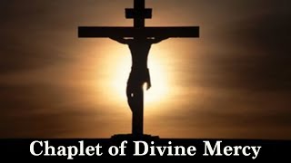 Finding Peace in the Divine Mercy Prayers A Chaplet Prayer [upl. by Binky215]