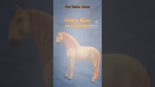 Golden Mane on Lusitanos  Star Stable Cheats horse starstableonlinene sso golden [upl. by Ivanah]