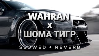 Randall Wahran x Asanrap Шома тигр Slowed  Reverb [upl. by Ilzel]