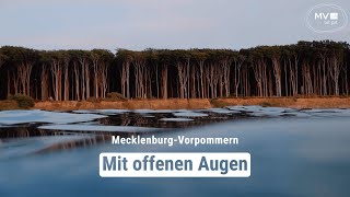 Sehnsucht nach Wasser und Weitblick  MecklenburgVorpommern  Das Urlaubsland [upl. by Annairam198]