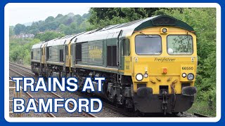 TRAINS at BAMFORD railway station [upl. by Anoirtac524]