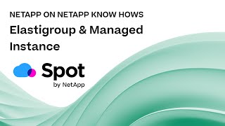 The basics of Spot by NetApp Elastigroup and Managed Instance [upl. by Lynden905]