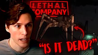 Jerma thought it was dead [upl. by Gaut]