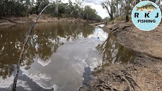 Fishing In Echuca With Cheese And Worms [upl. by Hammer102]