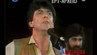 Dimos Moutsis  Erinoula mou 80s concert [upl. by Erleena]