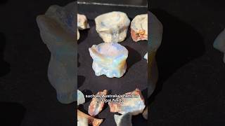 Opalized fossil vertebra from Australia ❤️ [upl. by Aarika817]