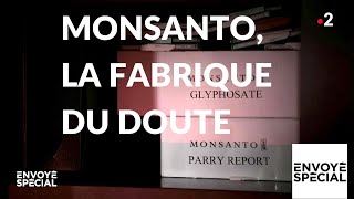 Envoyé spécial Monsanto la fabrique du doute  17 janvier 2019 France 2 [upl. by Kcirb]