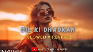 Dil Ki Dhadkan Slowed  Reverb  Mind Fresh Lofi Song Mind Relax Lofi Mashup  Anu Deep Tirkey [upl. by Shanna]