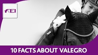 How much do you know about Valegro [upl. by Ralina]