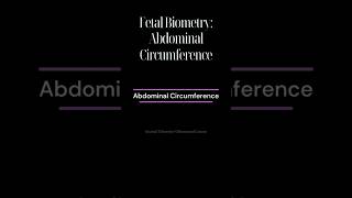 Abdominal Circumference AC [upl. by Etteraj]