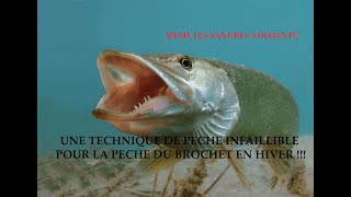 Une technique Infaillible pour pecher le brochet en hiver [upl. by Wilek]