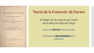 Teoría de la Evolución IV  Teoría de Darwin  BiologíaXXI [upl. by Herrington]