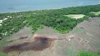 Higbee Beach Wildlife Management Area Restoration ProjectVideo1 [upl. by Elna]