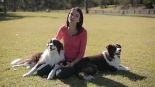 Treatments for Preventing Paralysis Ticks and Fleas [upl. by Nnainot470]