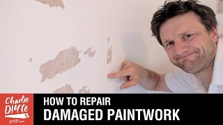 How to Repair Damaged Paintwork [upl. by Aiseneg873]