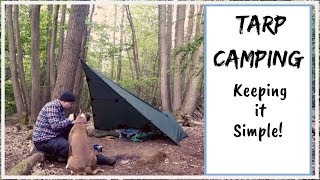 Tarp camping with my dog  Keeping it simple  Hobo Dinner  camping basics  Plough point Shelter [upl. by Tollman]