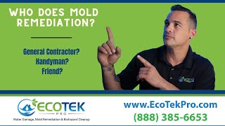 Who Does Mold Remediation  Who To Hire For Mold Removal [upl. by Esil472]