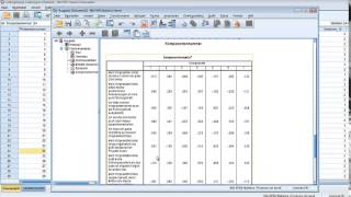 Explorative Faktorenanalyse mit SPSS [upl. by Suoicul]