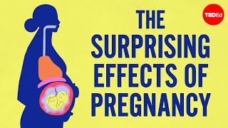 The surprising effects of pregnancy [upl. by Lamonica11]