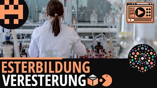 Esterbildung Veresterung│Chemie Lernvideo│Learning Level Up [upl. by Whang480]