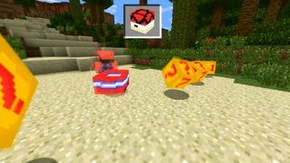 Mario Kart in Minecraft [upl. by Aihsit]