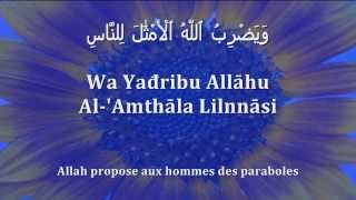 Apprendre le verset de la Lumière Sourate 24 Verset 35 arabephonétiquefrançais [upl. by Eelac64]