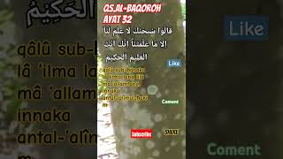 Surah ALBaqoroh Ayat 32feedshortsyoutubeshortsshortnaturereligionseranggatonggeret [upl. by Levania]