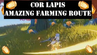 cor lapis Genshin impact  Best Farming route locations Guide [upl. by Gallenz689]