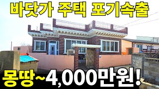 바닷가 주택 안팔려서 포기 속출 몽땅4000만원 전부 가져가세요 농막보다 싸게 나온 바닷가 전원주택 뺨치는 집 [upl. by Gawen]